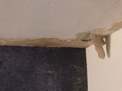 Professional water damage restoration services in Guelph